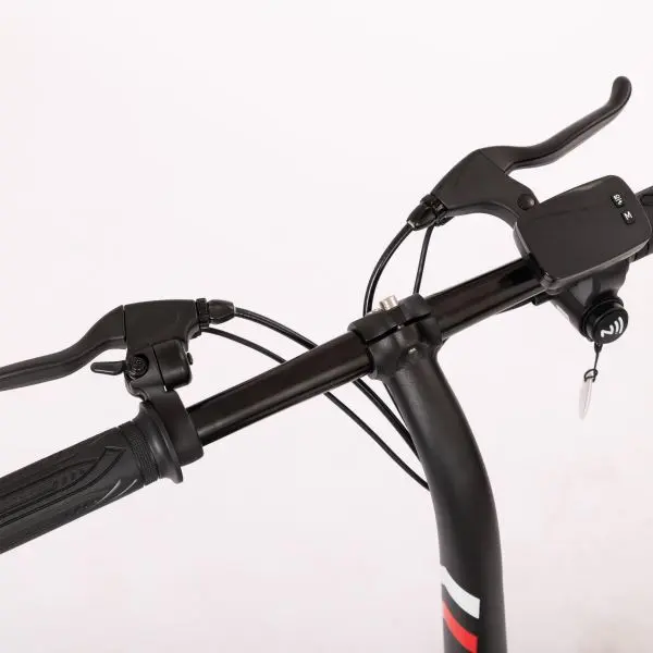folding mobility scooter handle.jpg