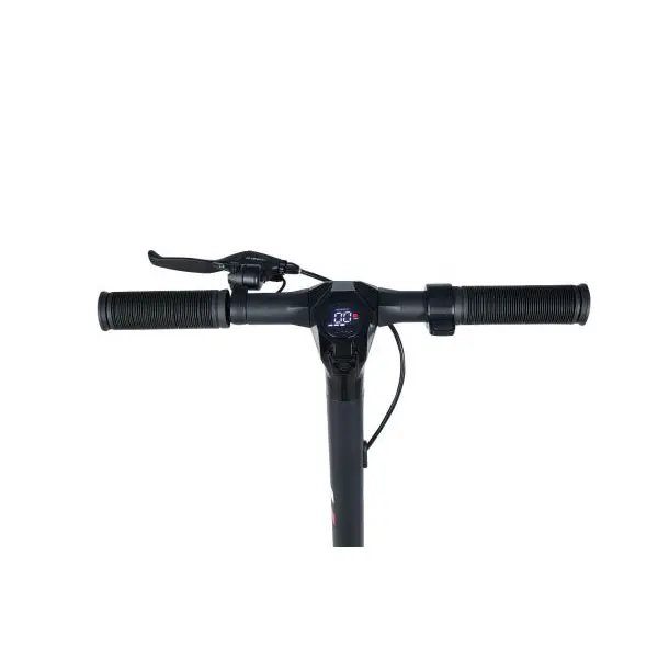 Electric scooter display.jpg