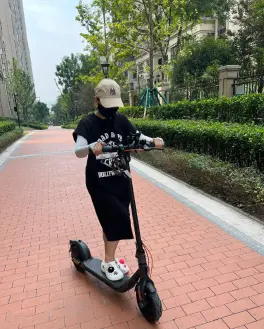 2 wheels electric scooter.jpg